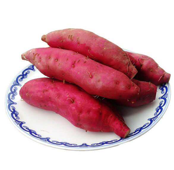 湖北农家自种红薯新鲜番薯农村现挖沙地红心番薯