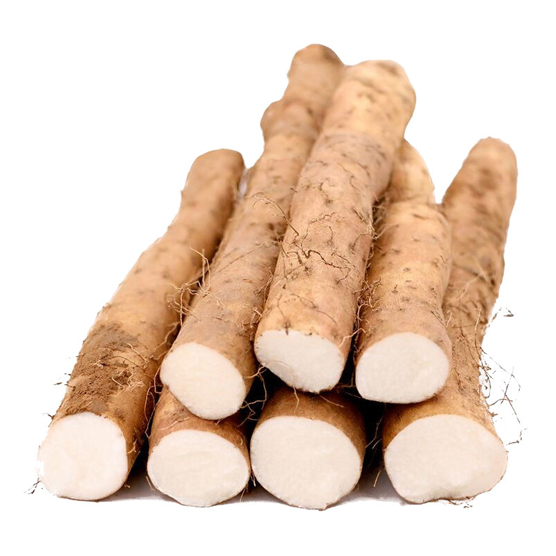 山药蠡县县长大粗铁棒铁杆铁棍新鲜5斤产地新鲜山药