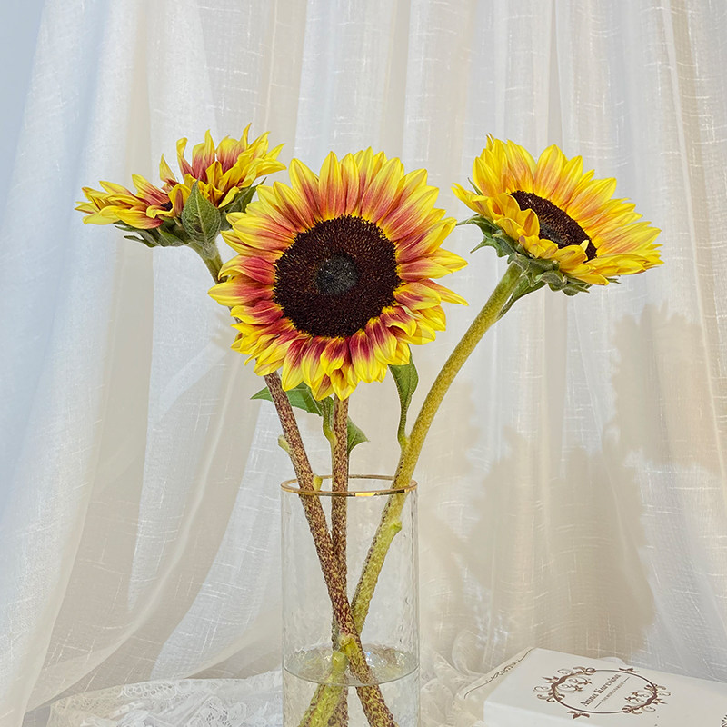 新鲜油画向日葵鲜花云南基地地直毕业父亲节花束鲜花速递同城