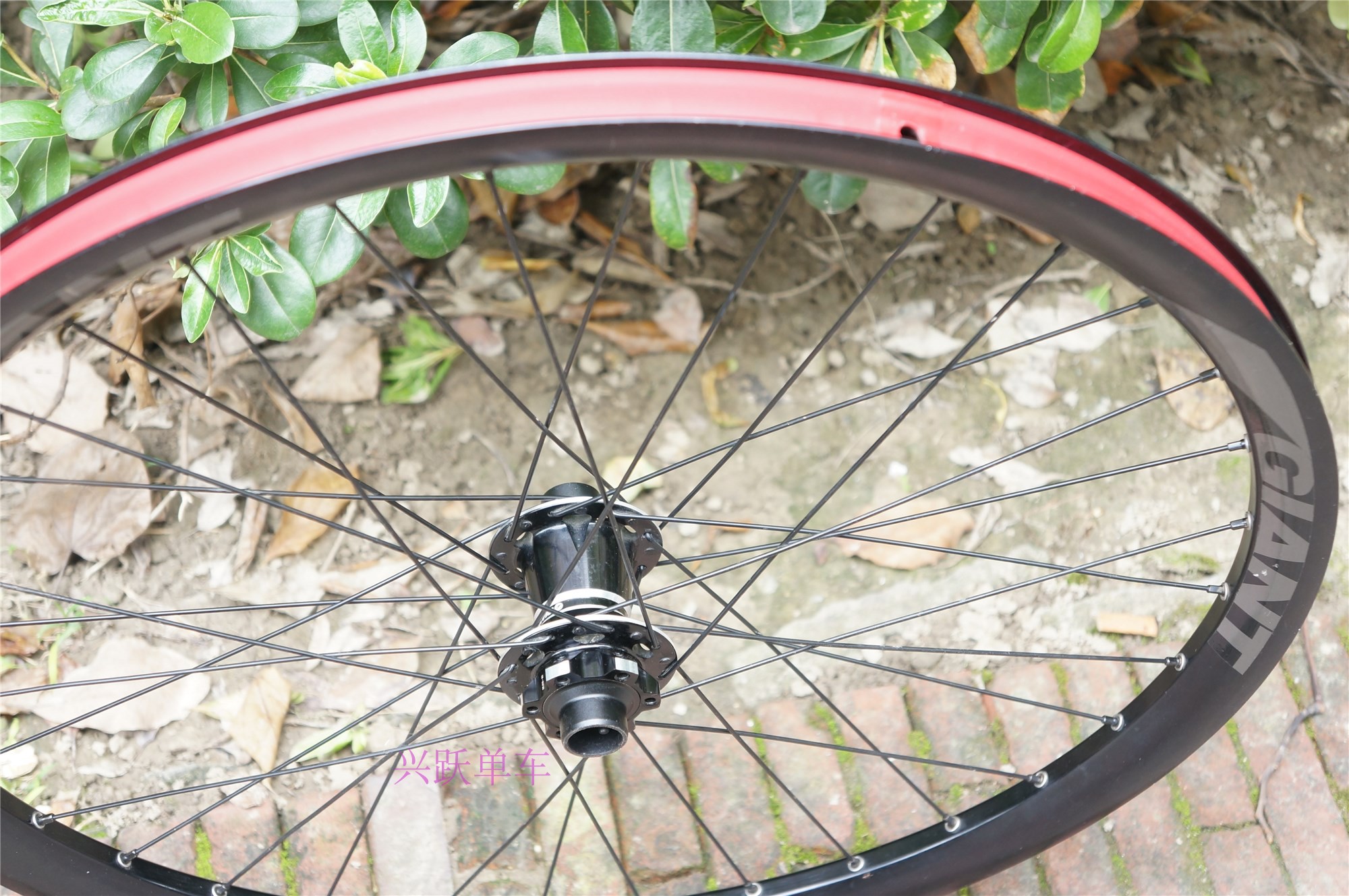 台产前轮轴承刹版桶轴碟110mm山地越野275寸pam2自行车轮组