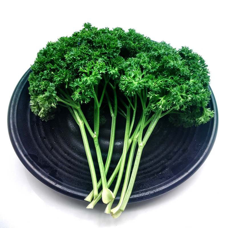 饰摆盘重庆四川满69顺丰 新鲜法香荷兰芹方西番西250g装 包邮 现摘