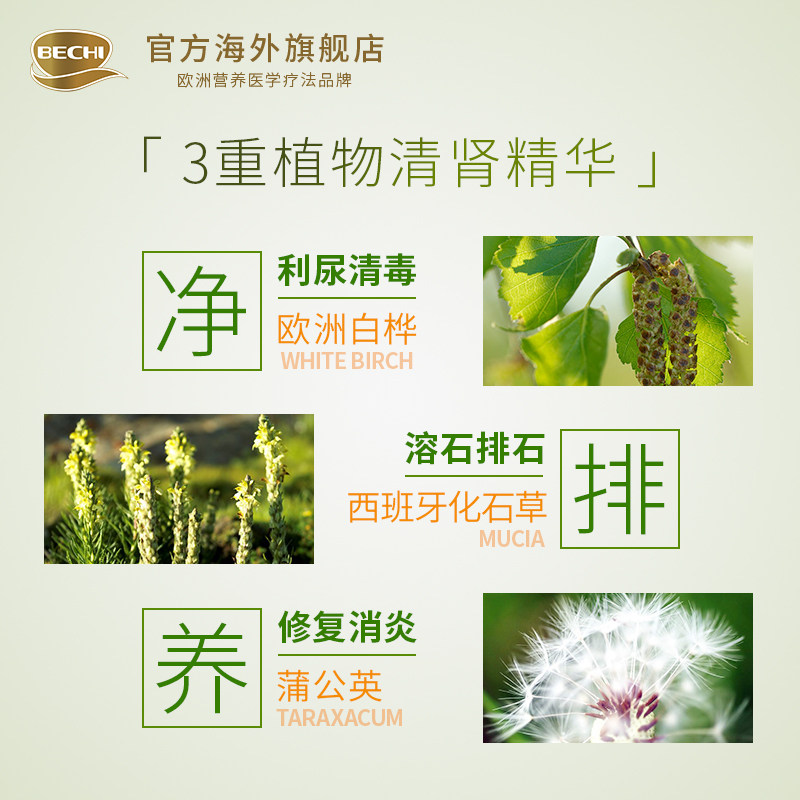 bechi 白桦蒲公英去石草复合配方护肾保片排除肾脏结石胶囊 60粒