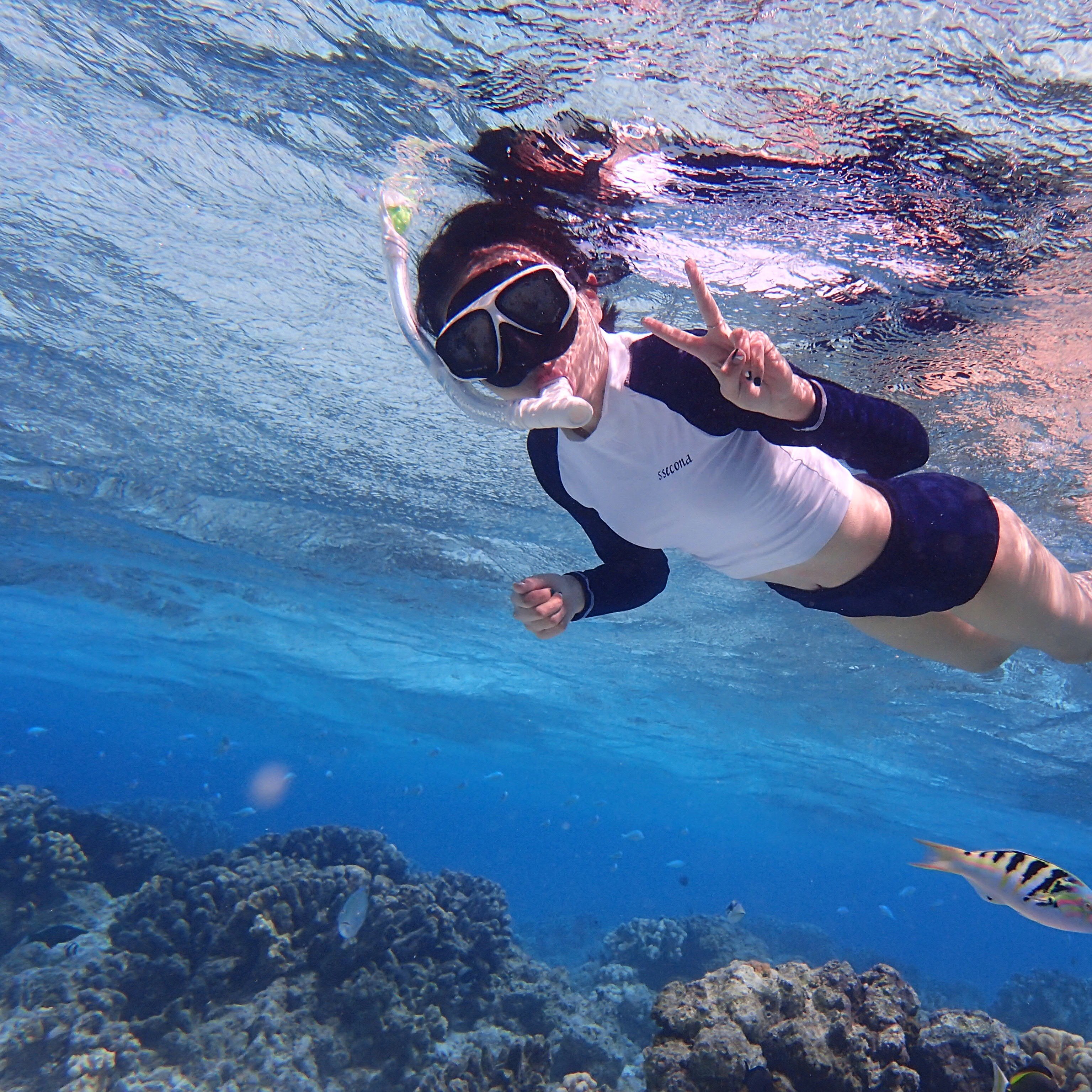 韩国braeel潜水服防晒长袖浮潜服女分体显瘦速干潜水服