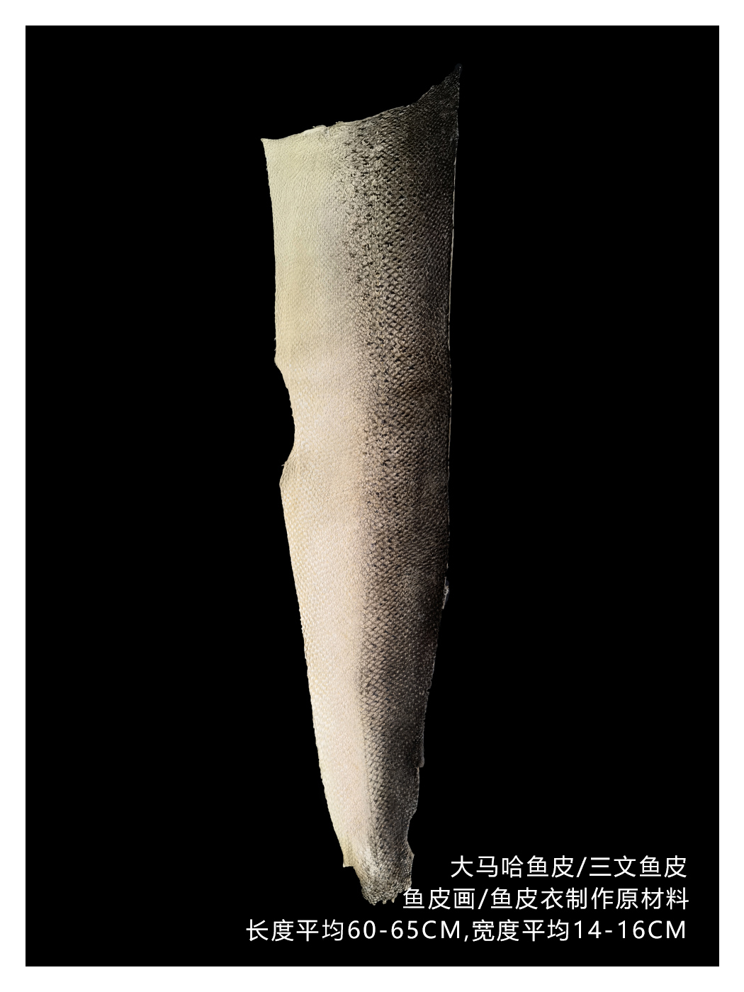 大马哈鱼古色鱼皮天然淡黄原材料软化全场30元包邮赫哲族