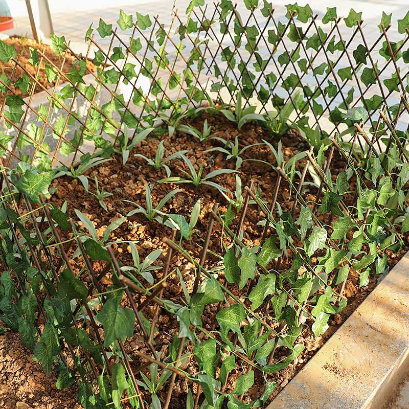 仿真植物阳台墙面装饰品栅栏菜园遮挡围墙户外大型篱笆