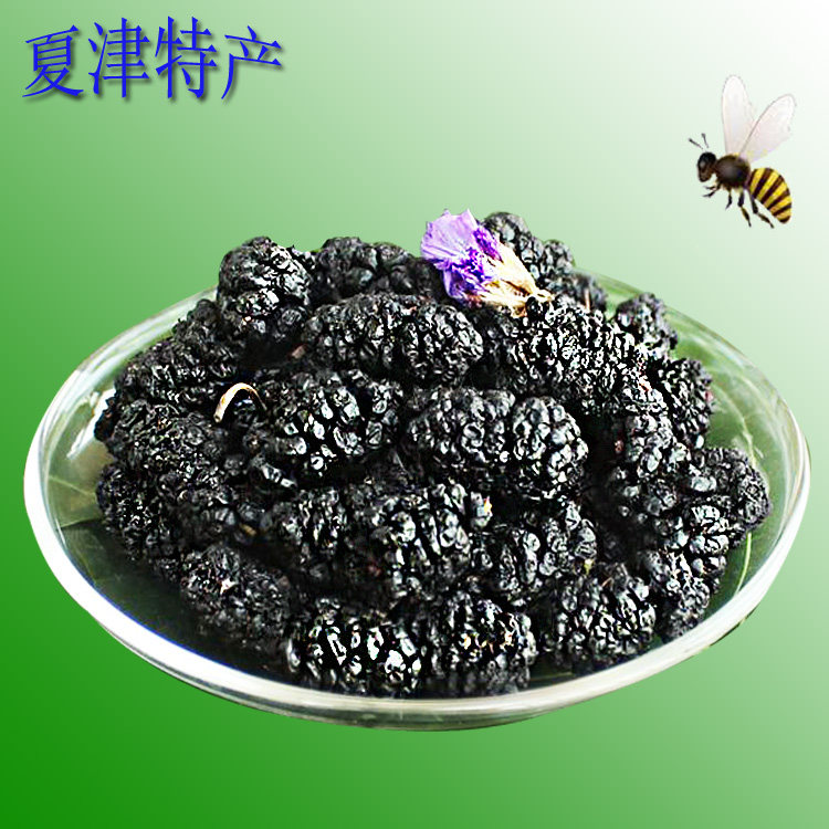 夏津特产干净无沙手工精选大粒桑椹干椹果干桑椹干