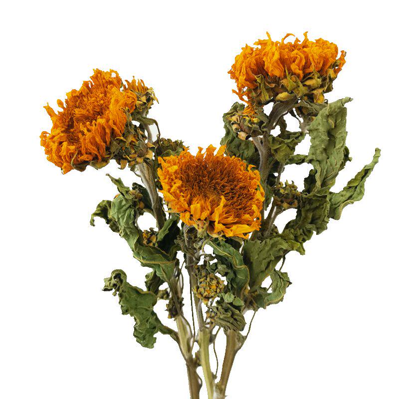 云南干花重瓣向日葵真花风干花束北欧咖啡厅家居装饰干花