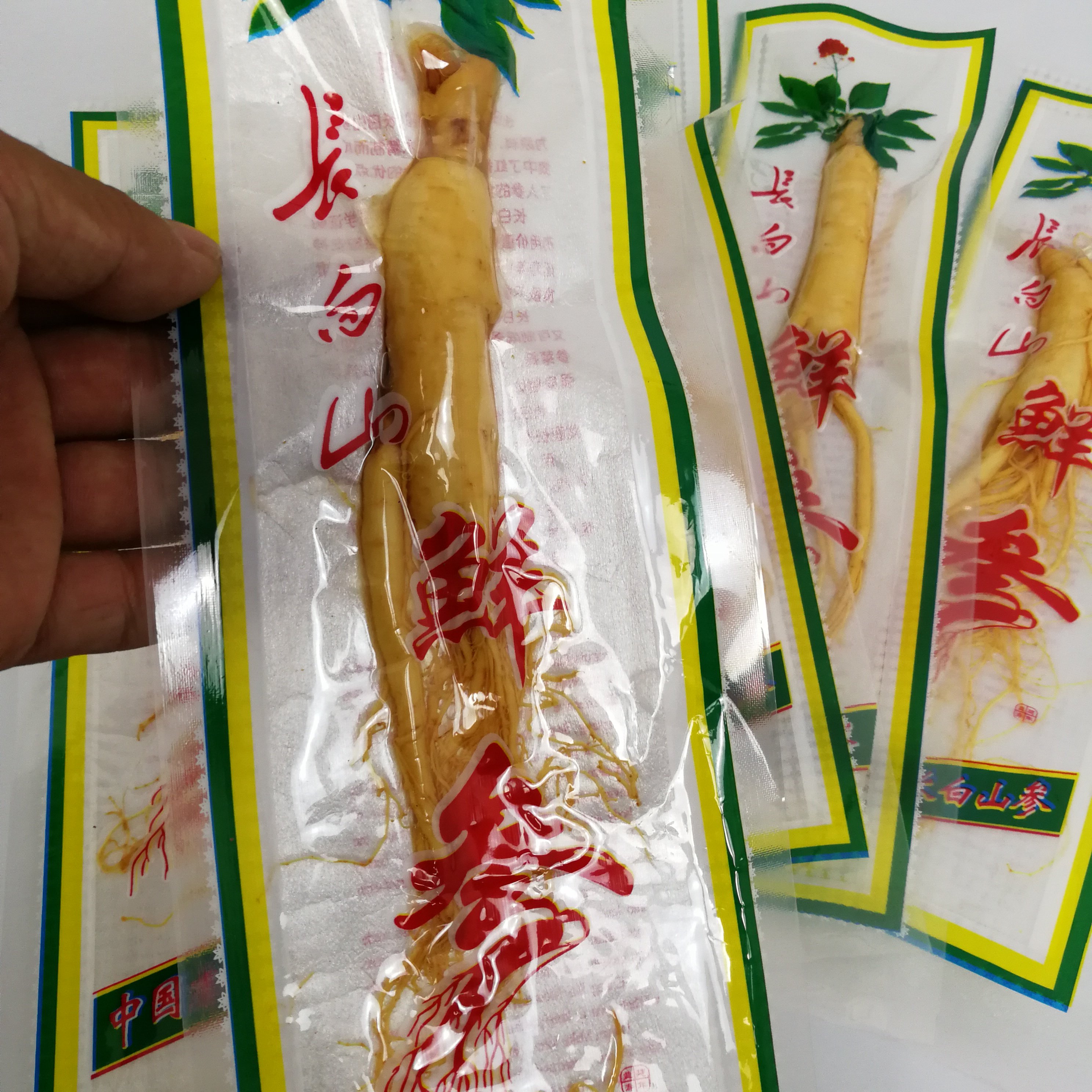 保鲜参长白山泡酒煲汤新鲜人参白参单支毛重30-50克左右5支免邮