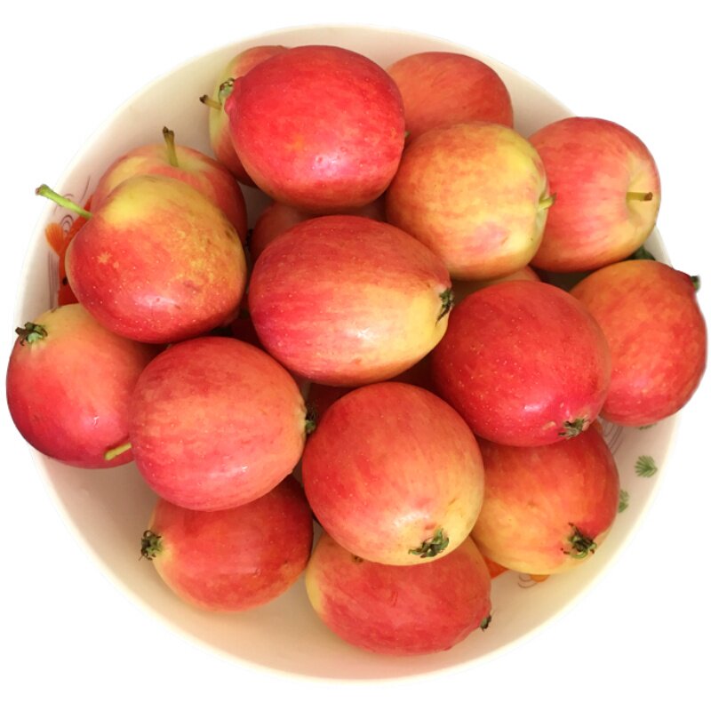 东北k9小沙新鲜水果现摘现发酸甜孕妇水果海苹果