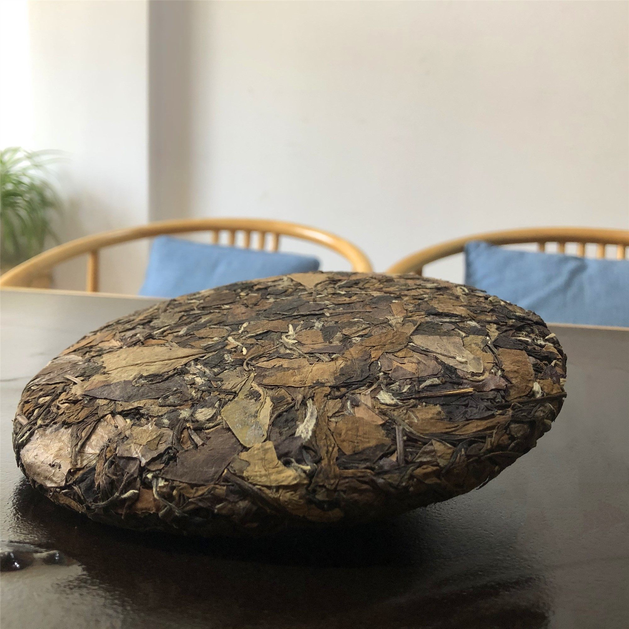 2020春茶春晓现货【贡眉王】小菜茶原生品种福鼎白茶特级贡眉茶叶