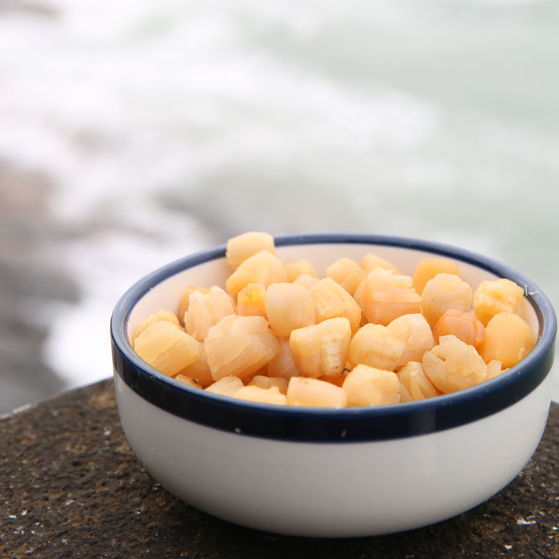 逃跑鲜生干贝瑶柱大扇贝肉无盐干货宝宝无添加东山岛特产200g