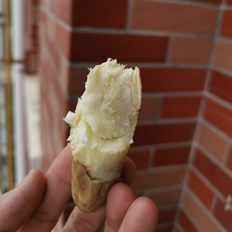 白皮小10斤人参蜜薯糖心生地瓜白薯 豫薯香番薯