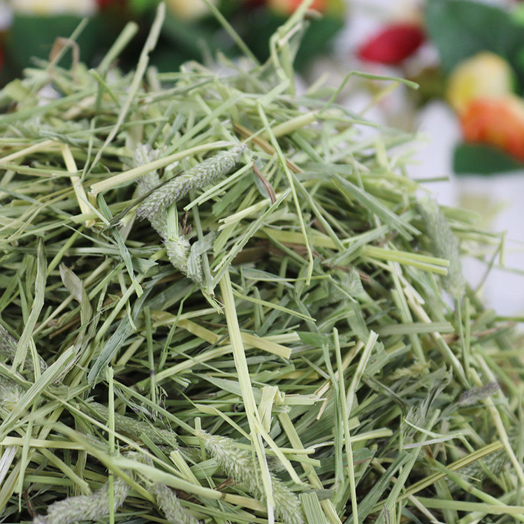 4斤包邮 提摩西草段 500g 提草段兔子龙猫荷兰猪兔草干草牧草