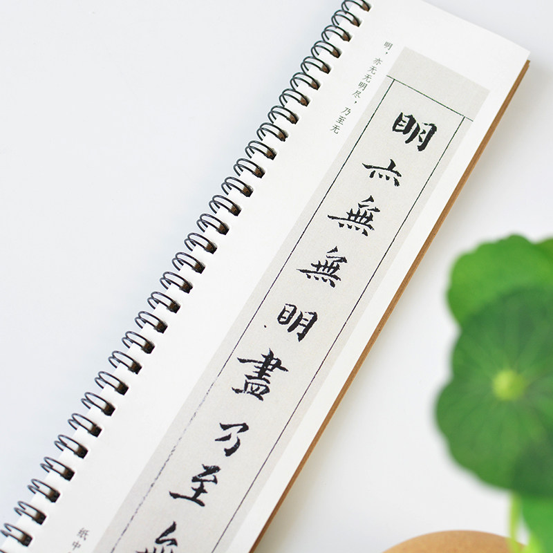 心经字帖书法纸中菠萝蜜初学者手抄本摩诃练字本