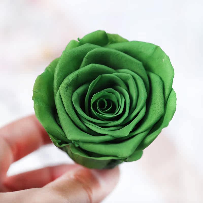 5-6cm永生花玫瑰手工手工制制作diy材料包真花玻璃罩永生花