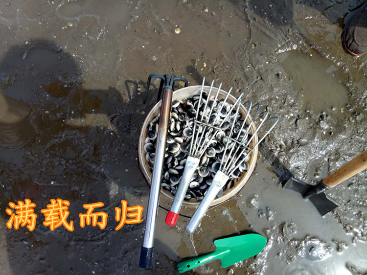 不锈钢海滩赶海工具套装挖蛏贝壳掘蚬螺摸蛤海耙子