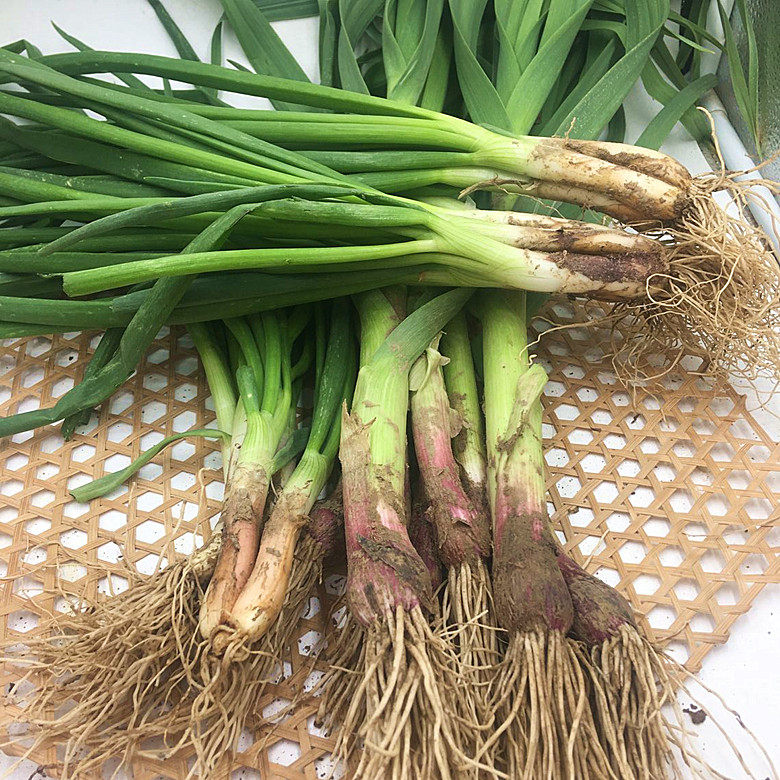 2斤新鲜蔬菜组合红皮蒜苗小香香葱小葱农家菜叶菜类