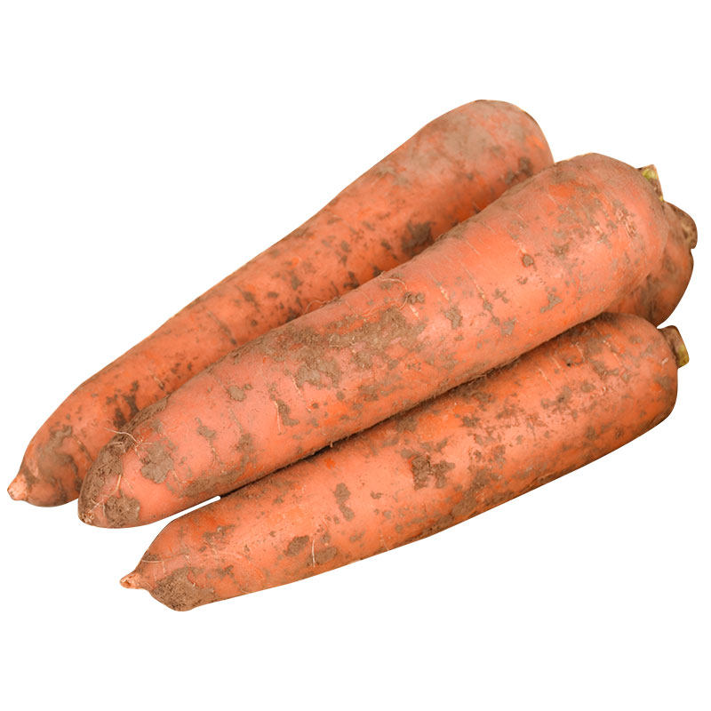 胡萝卜农家叶子新鲜即食自种带泥蔬菜山东5斤其它