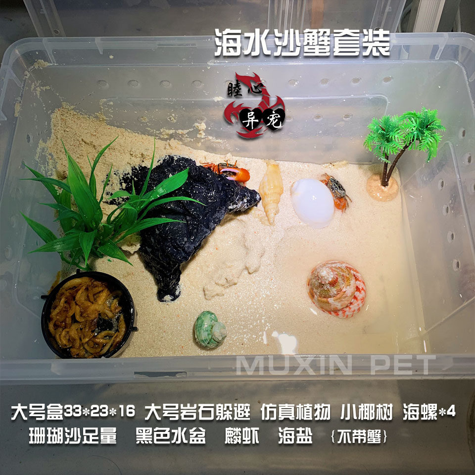 宠物沙蟹饲养盒招潮蟹辣椒寄居海蟹螃蟹中华其它水族用具设备