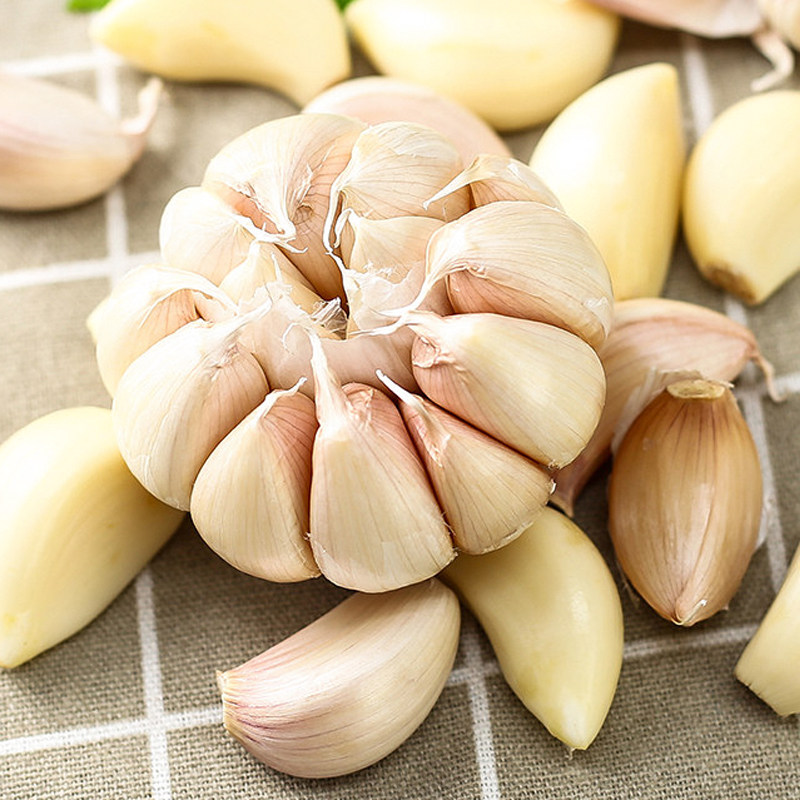 大蒜头干蒜5斤特大个山东金乡新蒜子10号红紫皮大祘新鲜包邮