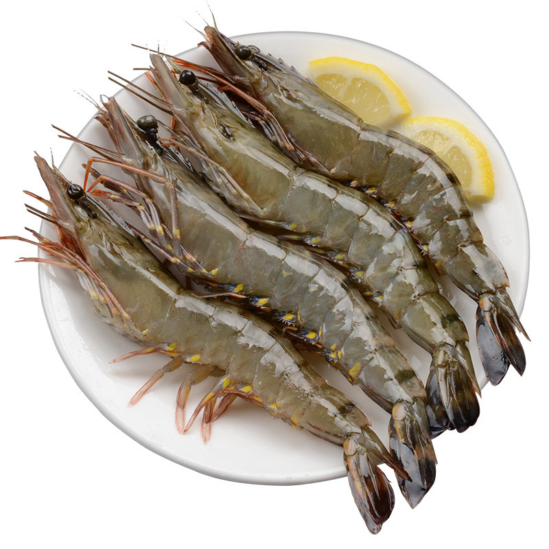 虎虾冻虾超大特大1620只新鲜速冻斑节海鲜水产冻虾