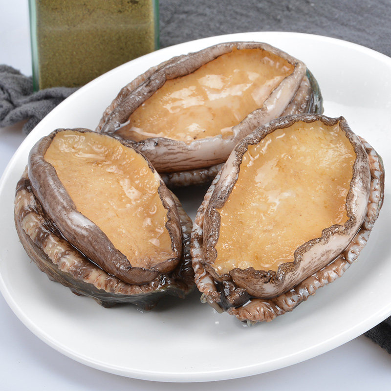 鲍鱼鲜冻青岛新鲜海海鲜水产1斤装12只包邮贝类鲍鱼