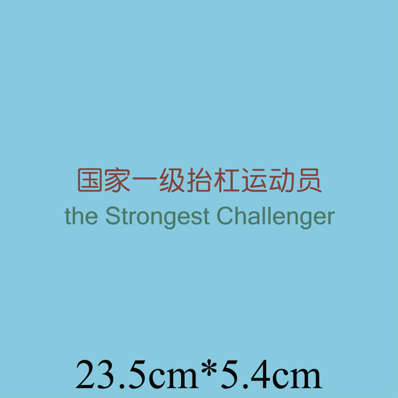 国家一级抬杠运动员文字印花短袖男女国潮趣味布贴