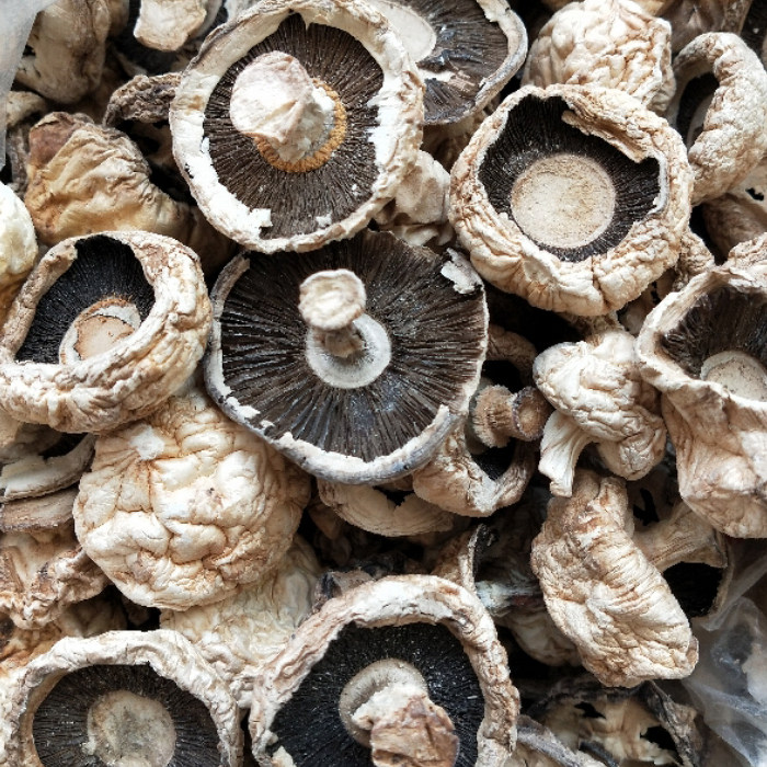 张家口野生口蘑 坝上口蘑250g 草原黑片蘑菇 味道浓厚炖汤 黑口蘑