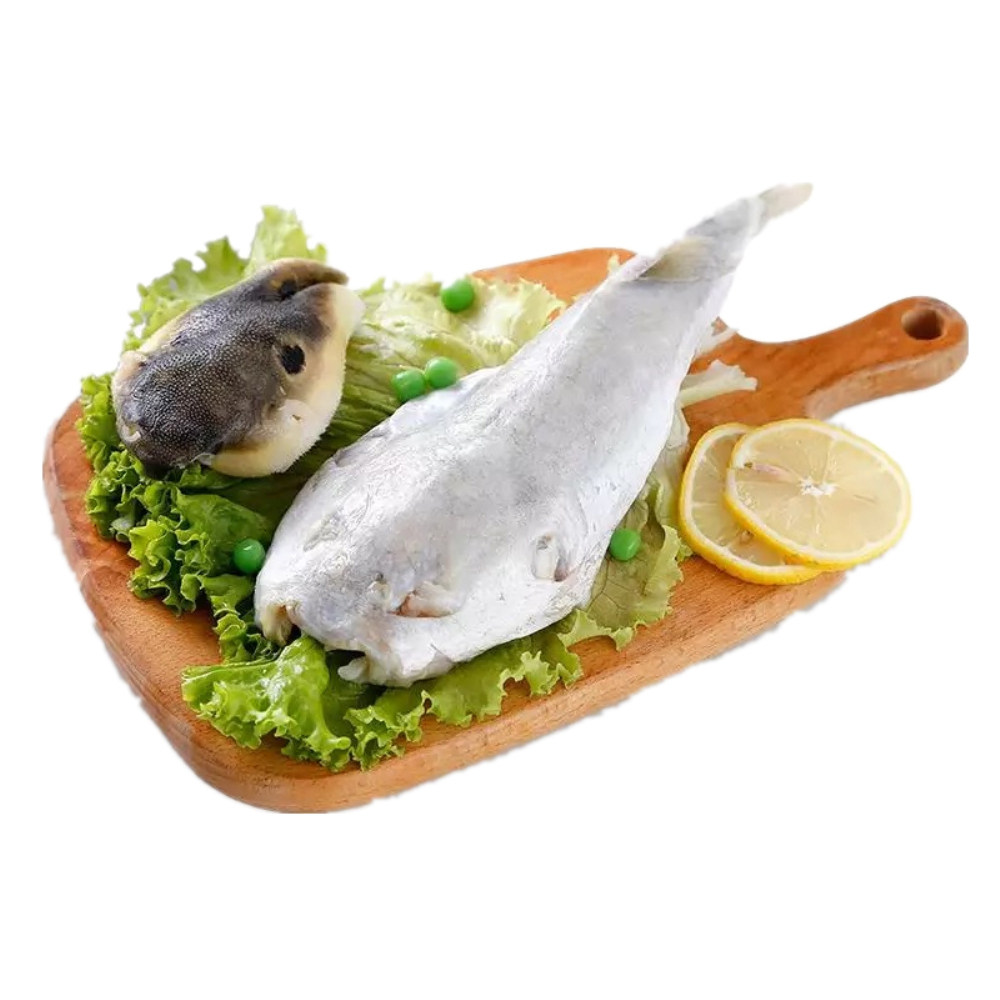 河豚豚之食用200g3条处理淡水鱼生鲜冰鲜新鲜淡水鱼类