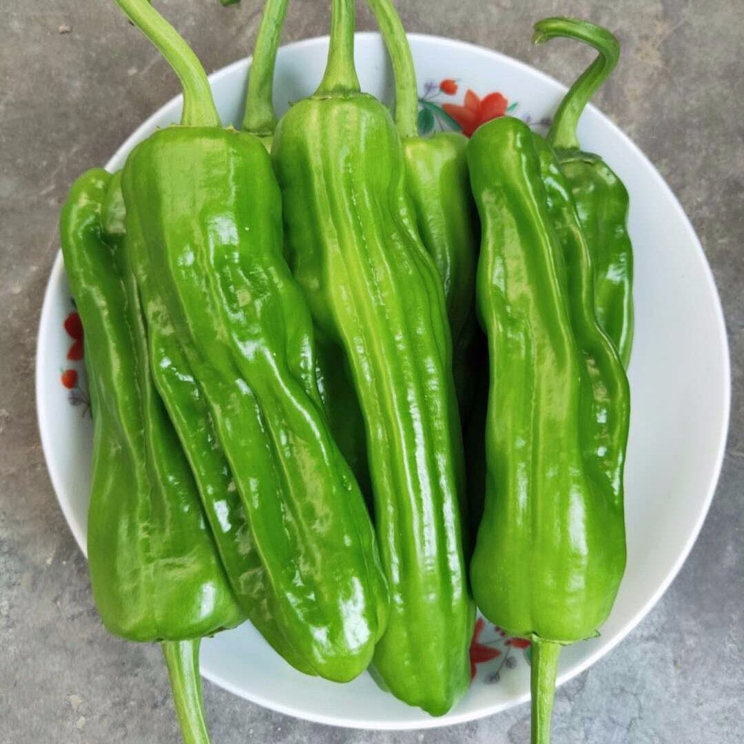 顺丰包邮薄皮辣椒新鲜3斤5斤农家泡椒微辣辣椒