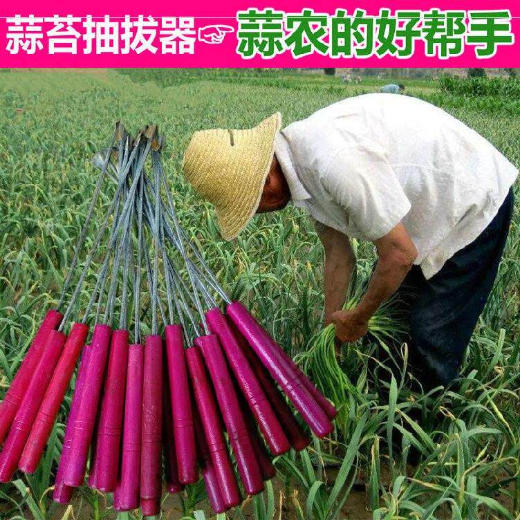 蒜薹神器蒜苔针收割农用打蒜剥刀蒜苗抽拔器划其它工具