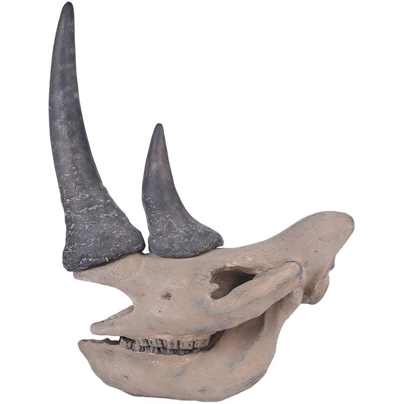 头骨赛尔加树脂仿真犀牛犹猪牦牛摆件博物馆装饰摆件