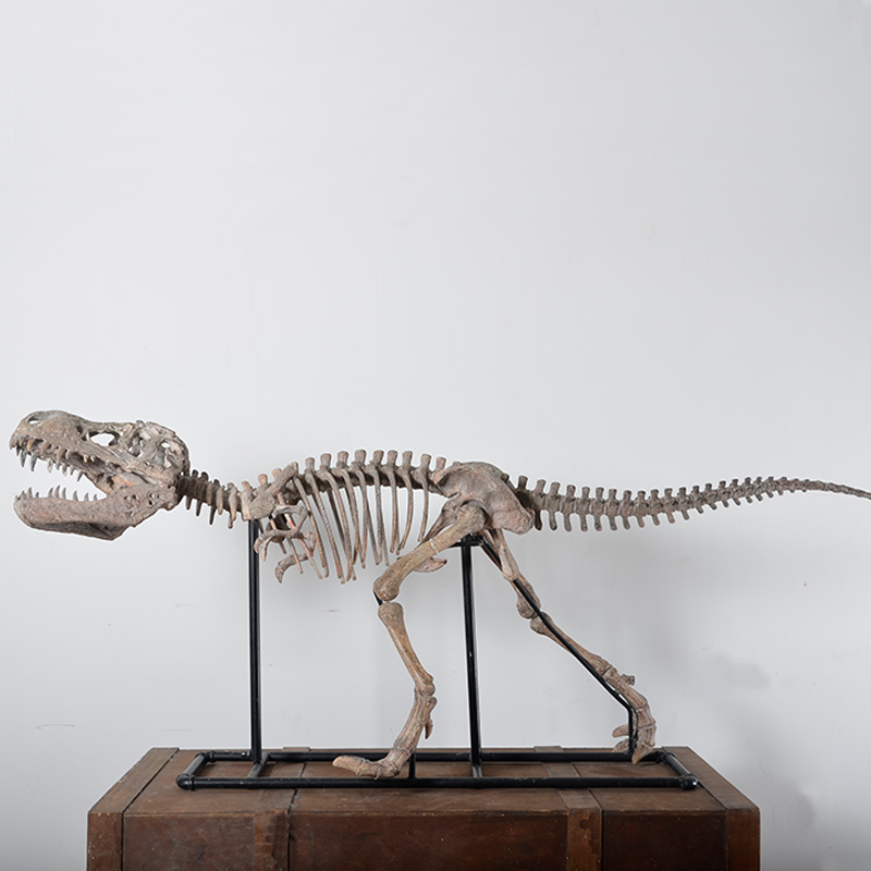 大型落地摆件霸王龙暴龙恐龙骨架化石假山景观摆件