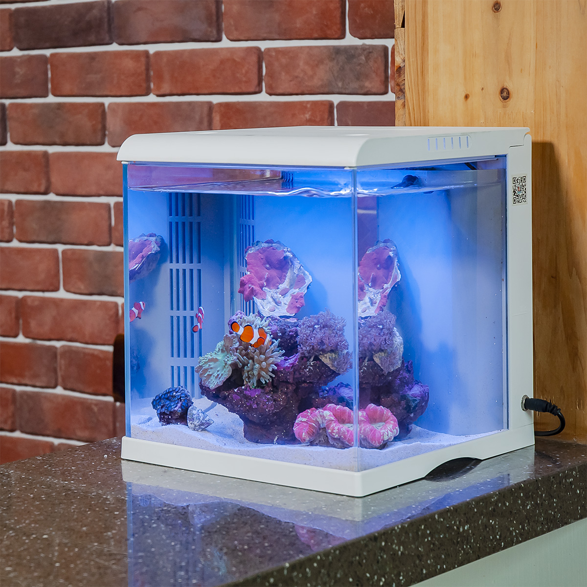 鱼缸海水小型全套超白玻璃桌面办公室智能背滤鱼缸