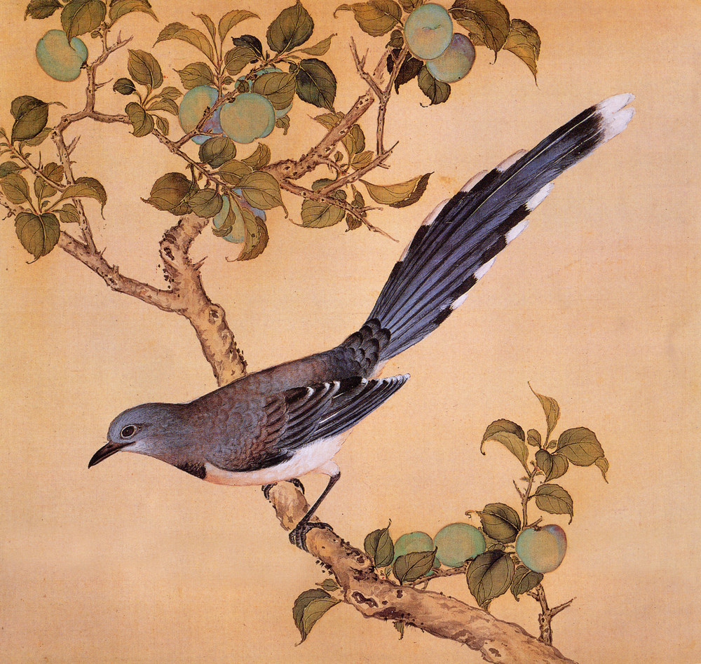 故宫鸟谱黑山鹧仿古画复制名人字画名家书画29x32国画