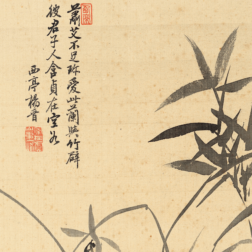 杨晋花鸟册竹石图仿古画复制名人字画名家书画花鸟画国画装饰画