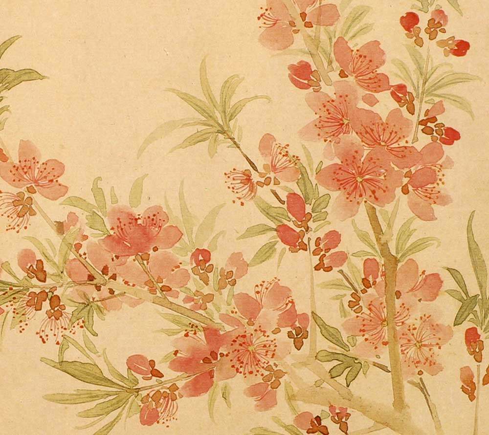 清代恽寿折枝图页仿古名家国画花鸟小品28x40cm国画