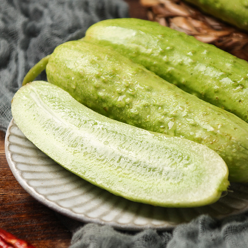 黄瓜寿光牛奶小旱5斤现摘白玉现发新鲜蔬菜黄瓜