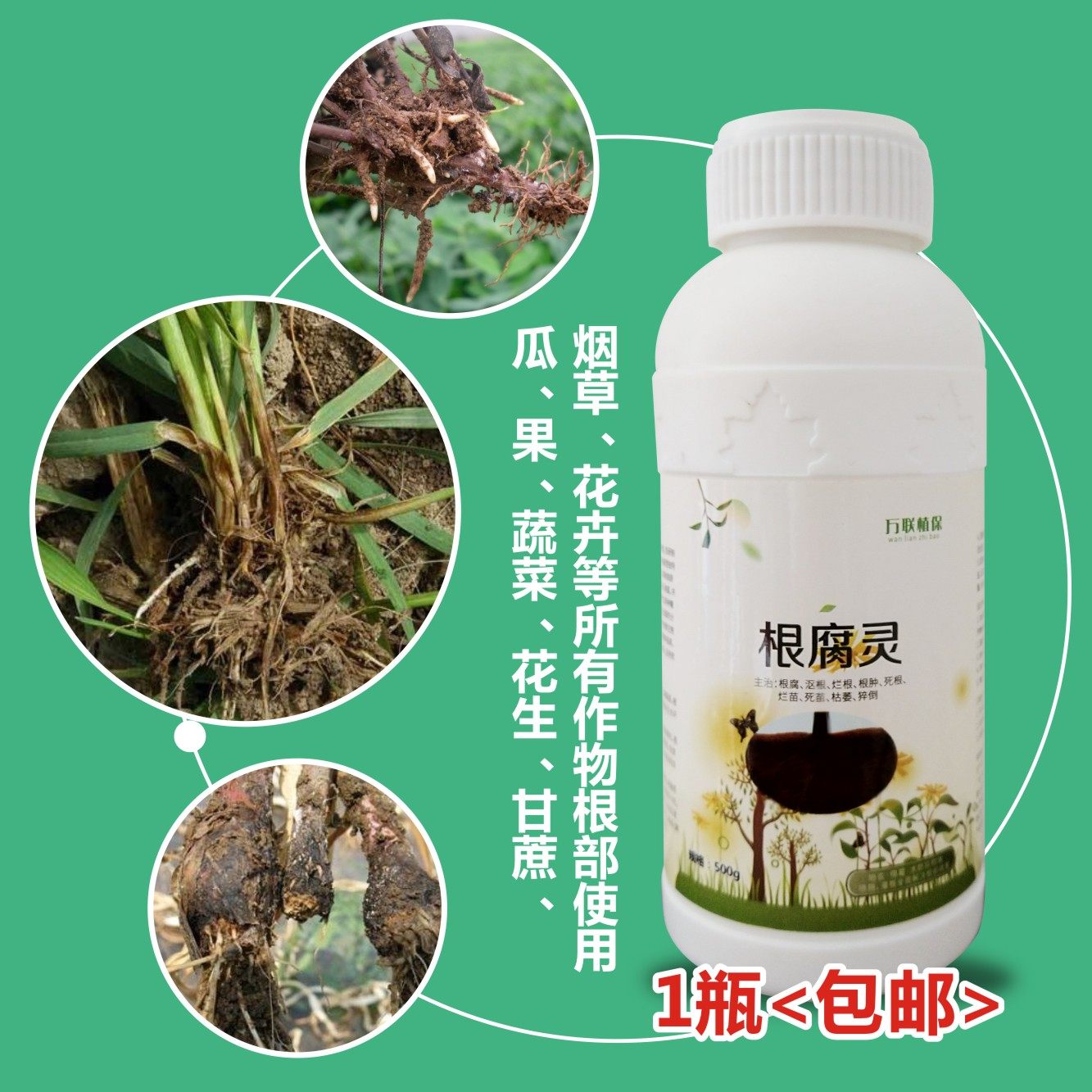 根腐灵正品根腐医生根病根腐宁根壮根康根腐净烂根腐根猝倒治根病