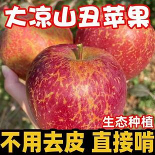 正宗大凉山盐源昭通糖心丑苹果新鲜当季水果邵通苹果