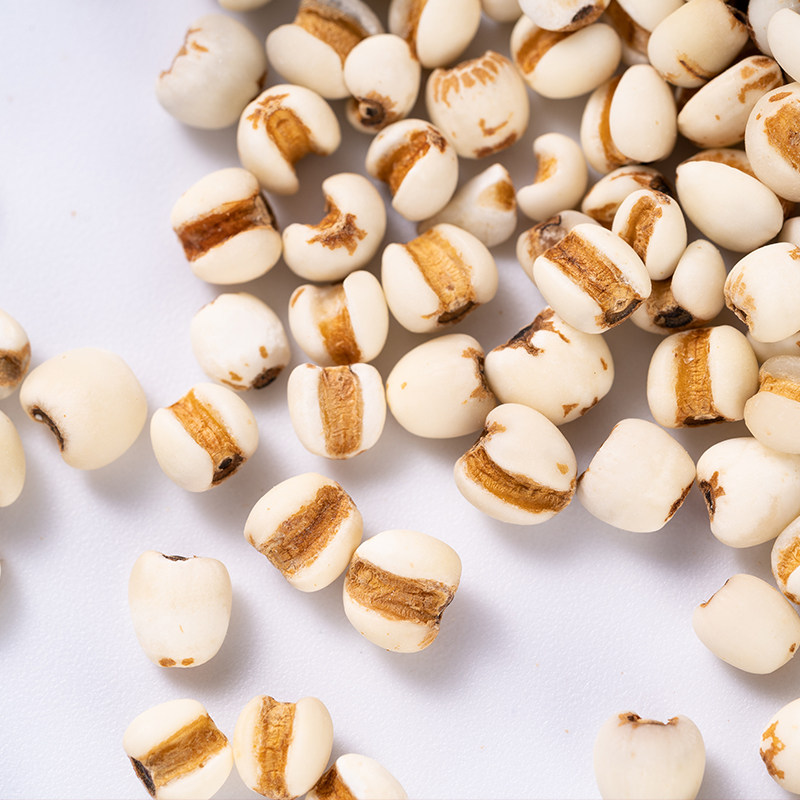 薏米500g新鲜薏仁米贵州兴仁薏苡仁赤小豆去湿薏米