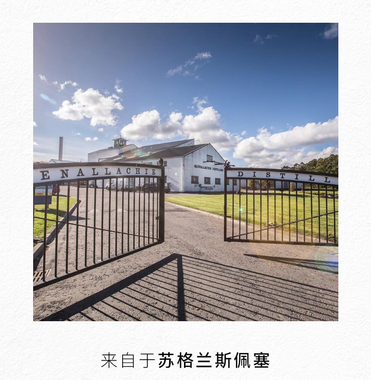 glenallachie格兰兰纳里奇10年第6版原桶强度桶强单一威士忌
