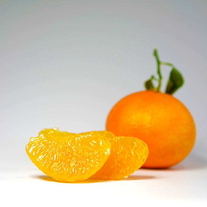 东浦橘子先生红美人爱薄皮爆汁有机施肥产地桔子