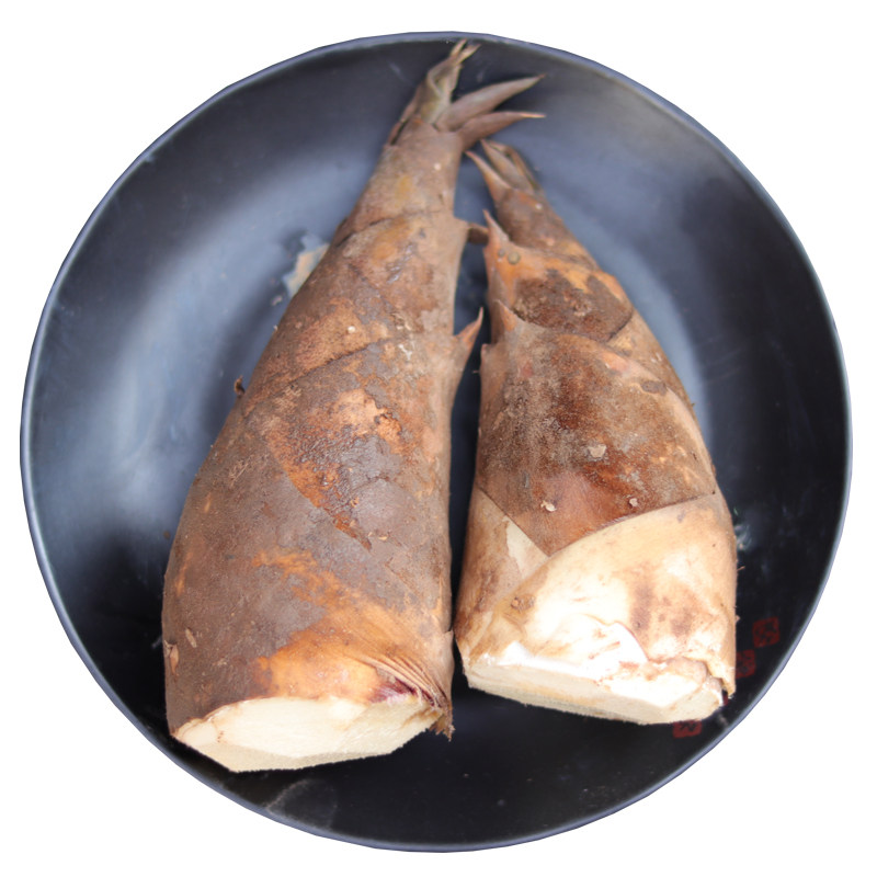 云南南龙竹笋新鲜马蹄笋鲜笋现挖脆嫩笋尖甜竹笋