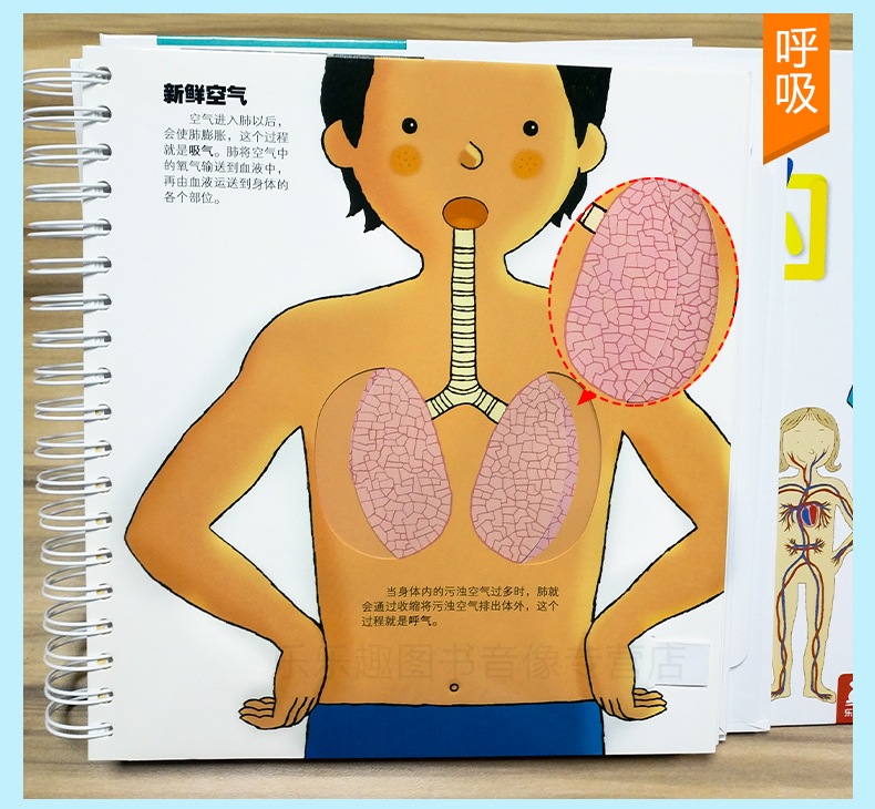 性教育3-6-12岁揭秘人体的奥秘身体秘密大百科全书启蒙性启蒙科普绘本