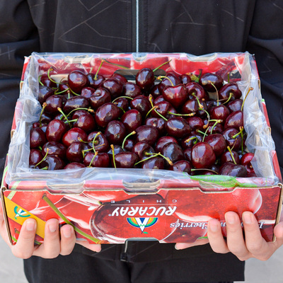 礼盒装5斤智利水果樱桃特大果桑缇娜珍珠整箱车厘子