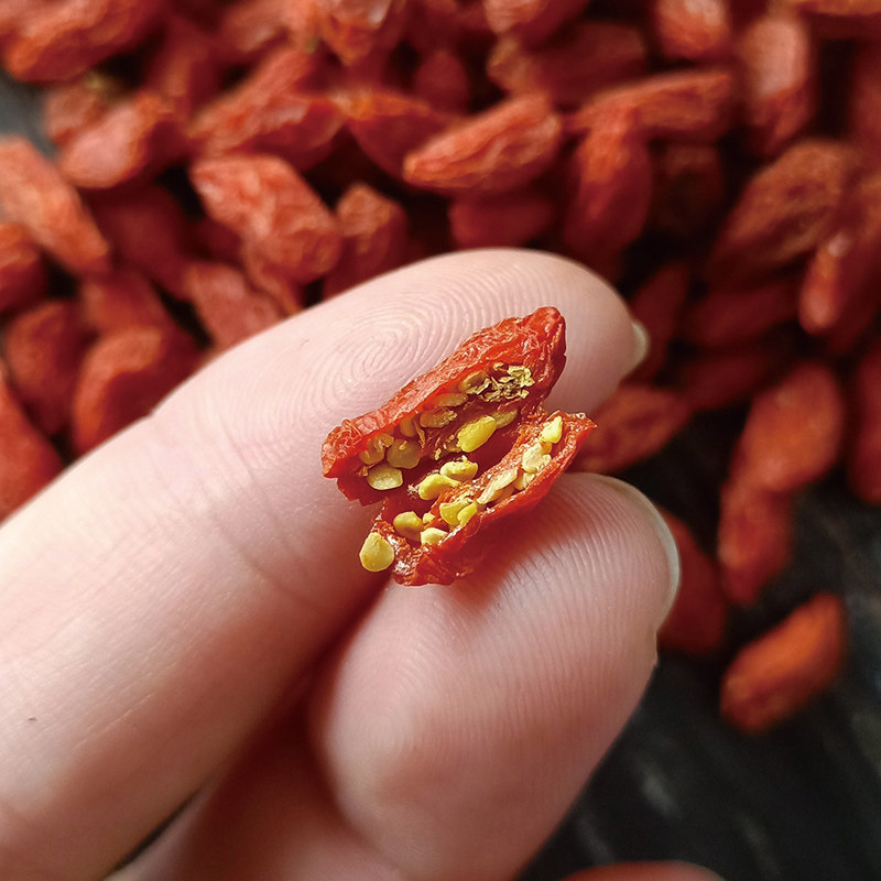 构拘苟佝宁夏中宁宁红枸杞子商用满籽小颗粒食用枸杞原浆