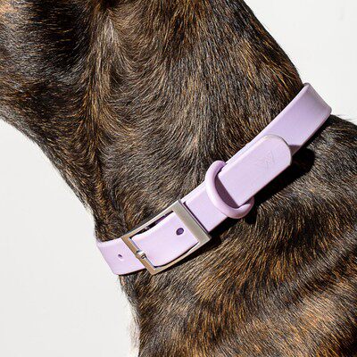 好乐狗狗项圈美国wildone马卡龙色狗脖圈防水防污项圈