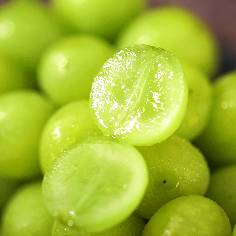 领取玫瑰上海五斤新鲜无籽阳光优惠王阳光单品晴葡萄