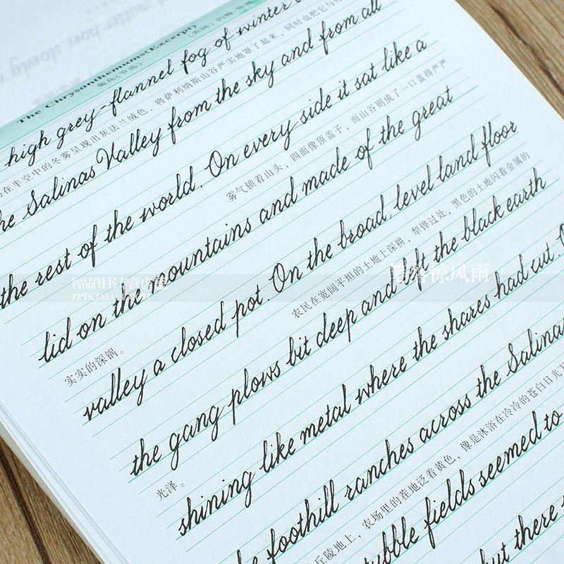 智品图书 于佩安英语美句美文 华夏万卷于佩安英语英文圆体花体意大利